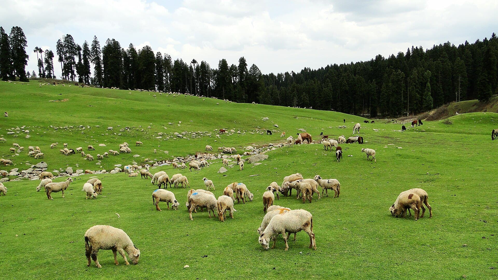 Doodhpathri, Kashmir