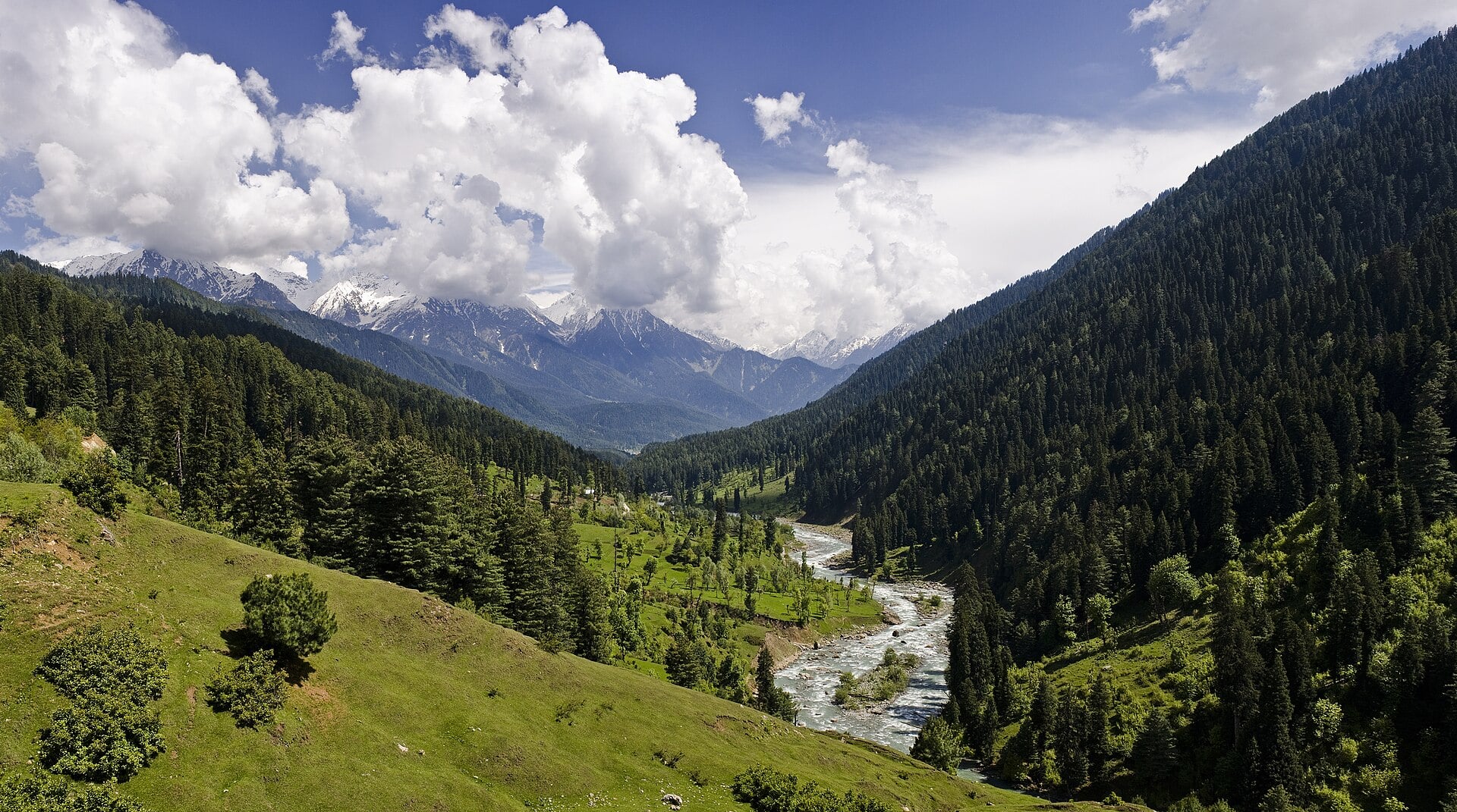 The Lidder River winds through green pine-covered mountains in Pahalgam