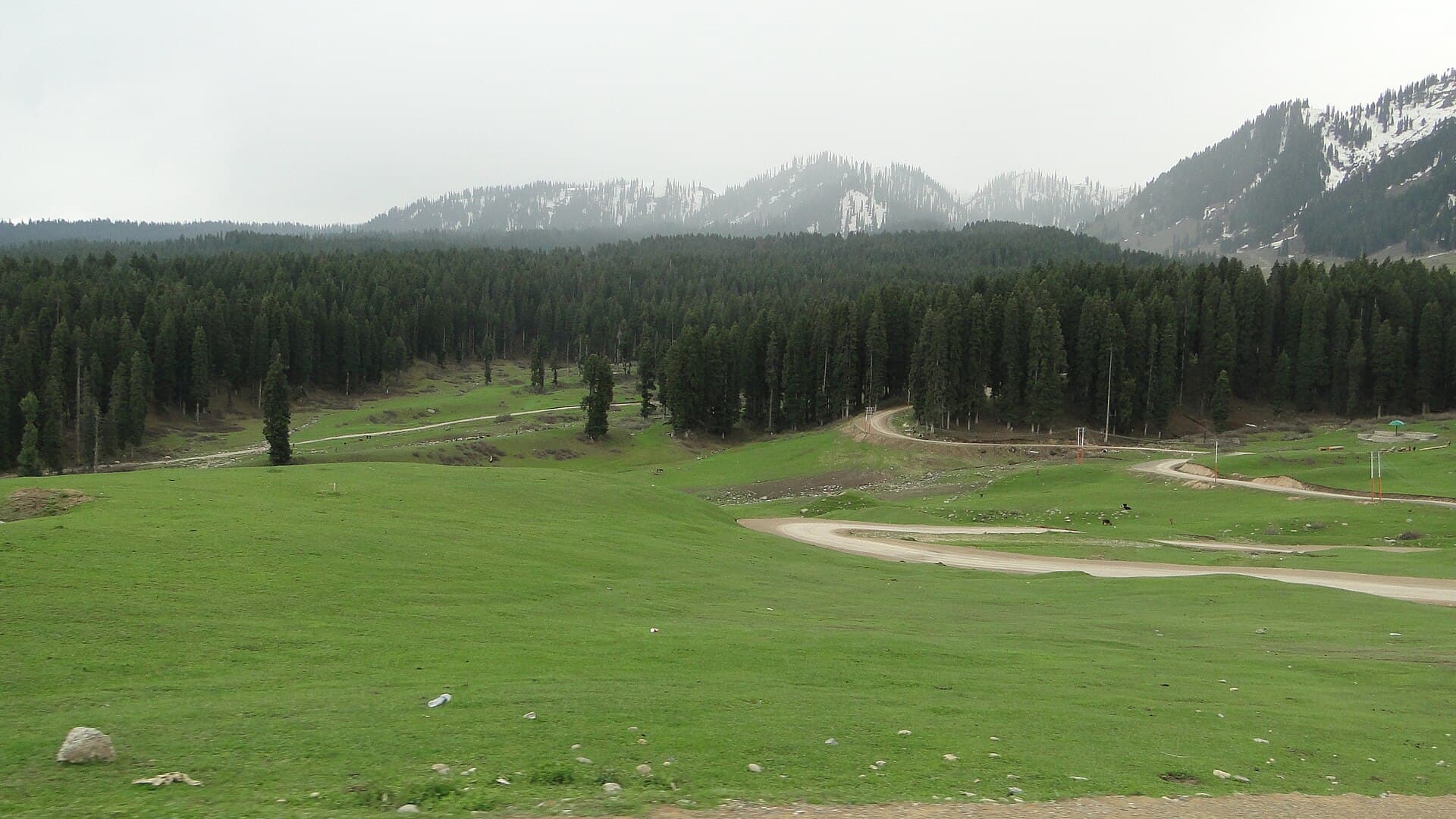 Doodhpathri - A dirt road goes through the many meadows. Nature, scenery in the Himalayas, southwest Jammu and Kashmir, India, May 2014