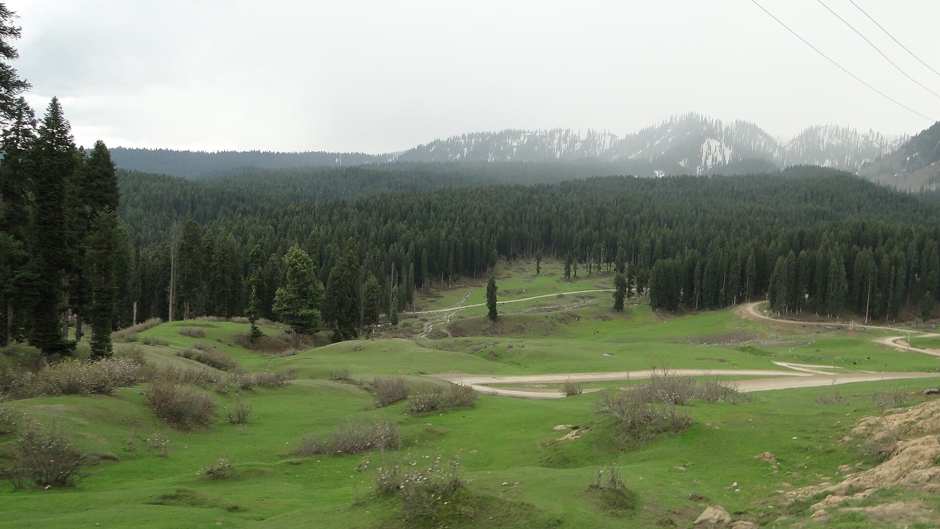 Doodhpathri. Nature, scenery in the Himalayas, southwest Jammu and Kashmir, India, May 2014